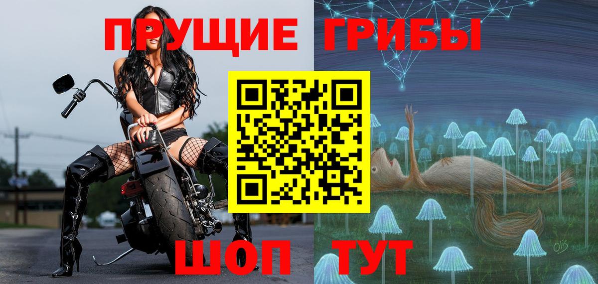 Псилоцибиновые грибы GOLDEN TEACHER Ковров